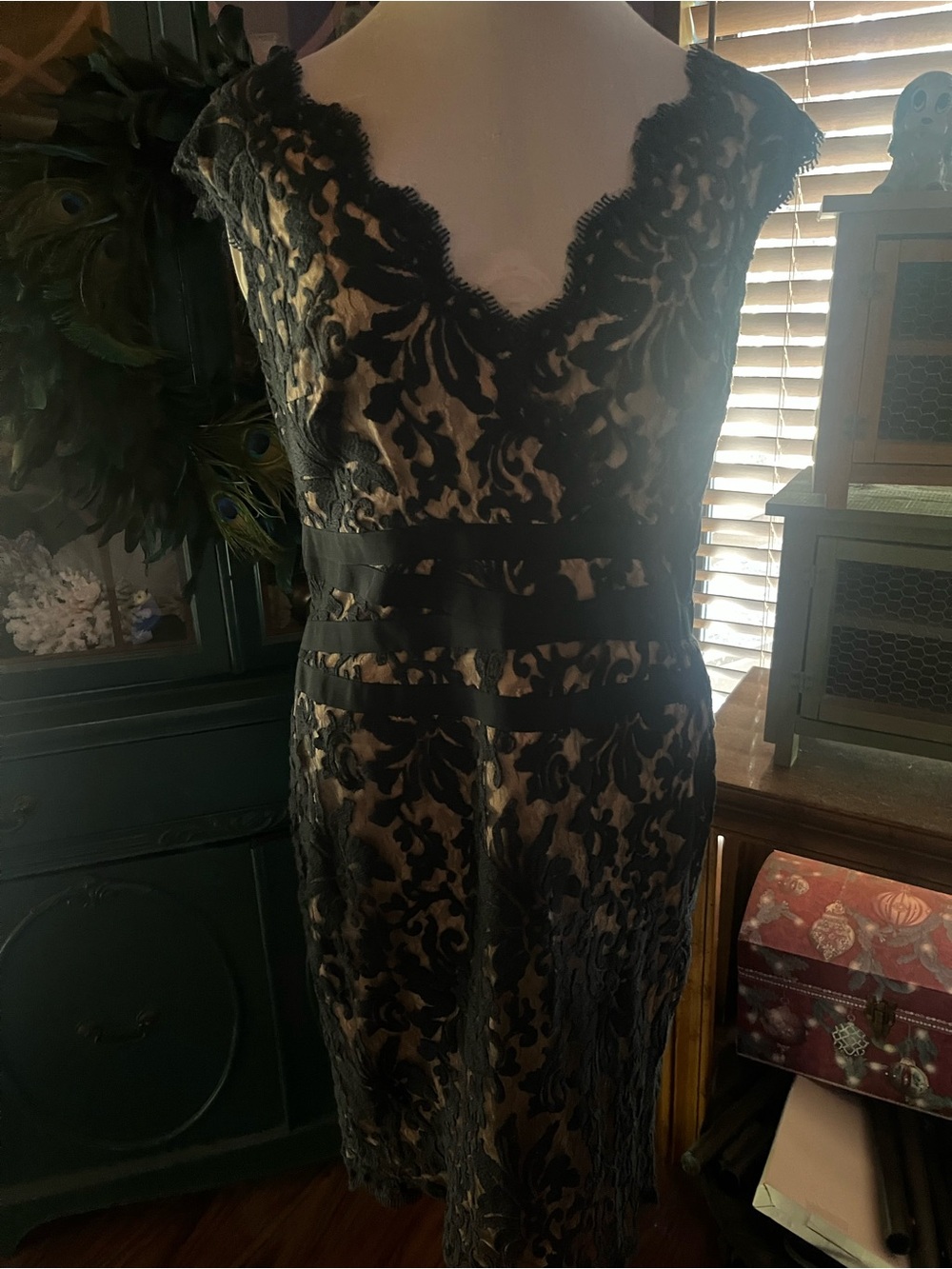Tadashi Shoji Navy Blue  Lace Overlay Formal Dress with Nude Underlayer 16